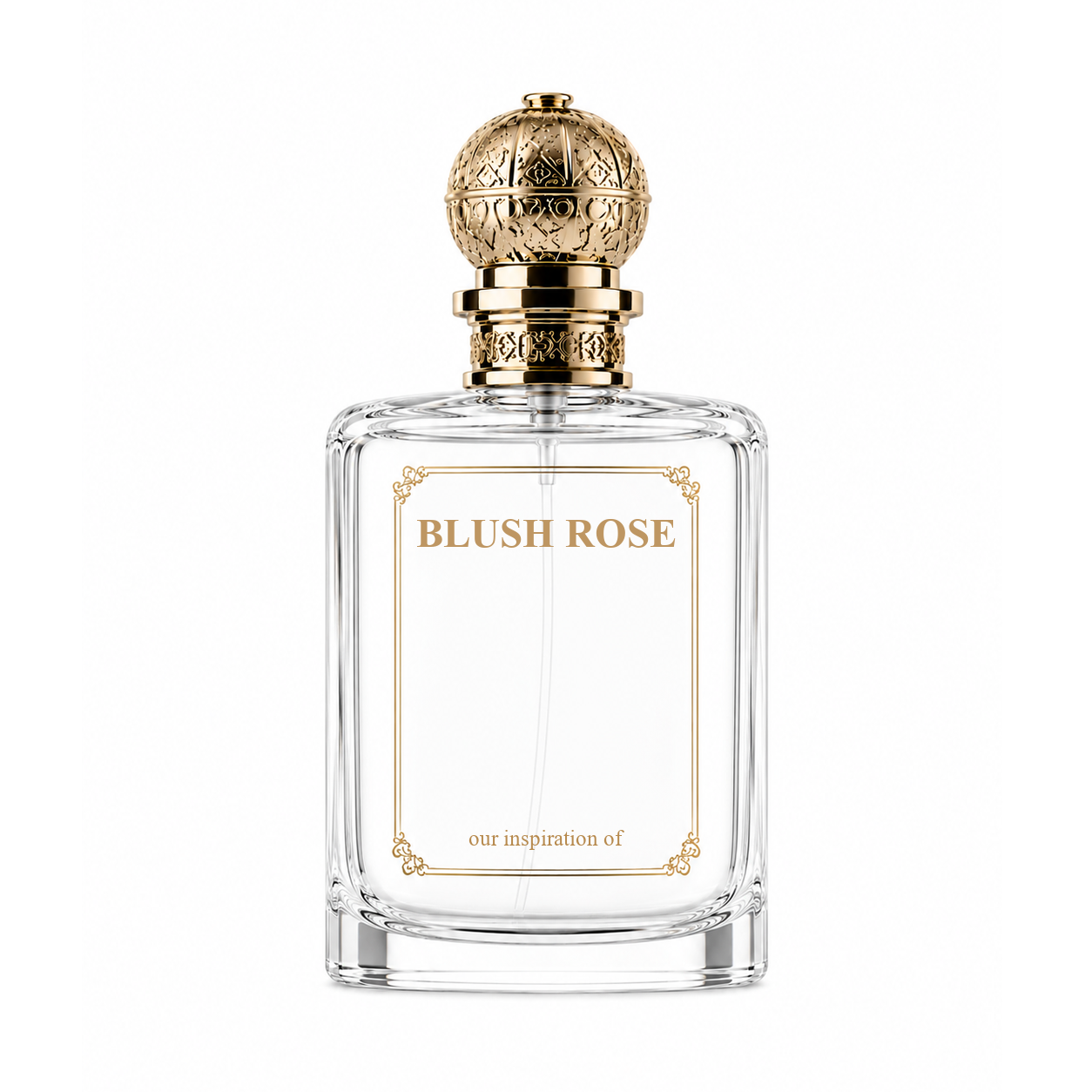 SC- Blush Rose